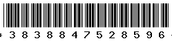 3838847528596