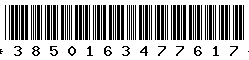 3850163477617 3850163477617