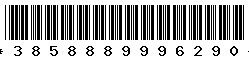 3858889996290 3858889996290