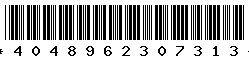 4048962307313 4048962307313