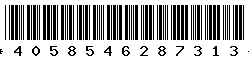 4058546287313 4058546287313