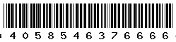 4058546376666 4058546376666