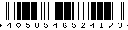 4058546524173 4058546524173
