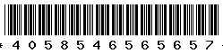 4058546565657