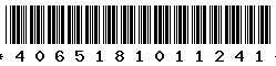 4065181011241