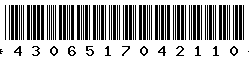 4306517042110 4306517042110