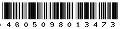 4605098013473 4605098013473