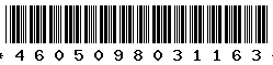 4605098031163