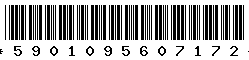 5901095607172 5901095607172