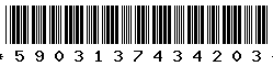 5903137434203