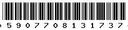 5907708131737