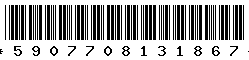 5907708131867