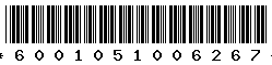 6001051006267