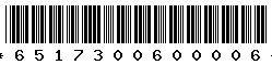 6517300600006