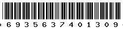 6935637401309