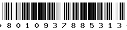 8010937885313