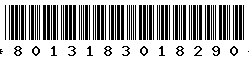 8013183018290