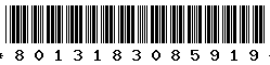 8013183085919