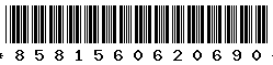 8581560620690