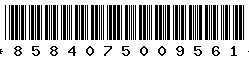 8584075009561