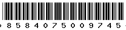 8584075009745