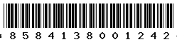 8584138001242