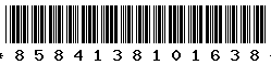 8584138101638
