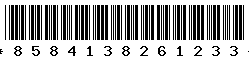8584138261233