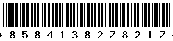 8584138278217
