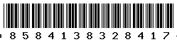 8584138328417 8584138328417