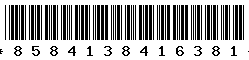 8584138416381