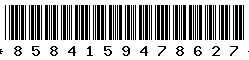 8584159478627 8584159478627