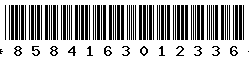 8584163012336 8584163012336