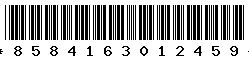 8584163012459 8584163012459