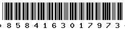 8584163017973