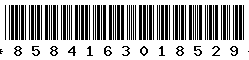 8584163018529 8584163018529