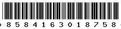 8584163018758