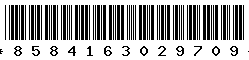 8584163029709 8584163029709