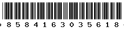 8584163035618