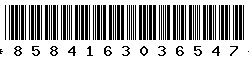 8584163036547 8584163036547