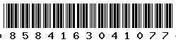 8584163041077 8584163041077