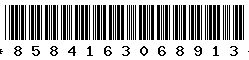 8584163068913 8584163068913