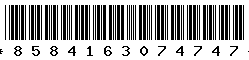 8584163074747