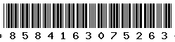 8584163075263 8584163075263