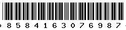 8584163076987 8584163076987