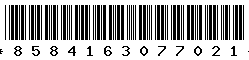 8584163077021 8584163077021