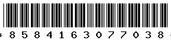 8584163077038 8584163077038