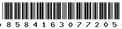8584163077205