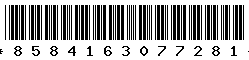 8584163077281