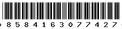 8584163077427 8584163077427